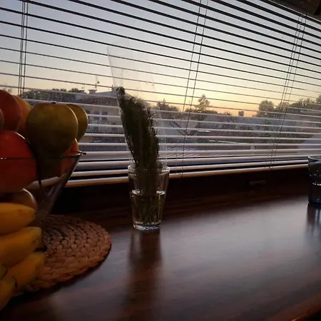 Shalom Corner *parking For Free* Daire *