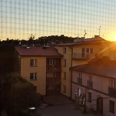 Shalom Corner *parking For Free* *